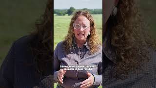 En Español: New World Screwworm Prevention for Oklahoma