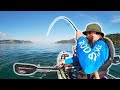 Nz kayak fishing  softbaiting the shallows 