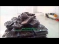 dates vacuum packing machine