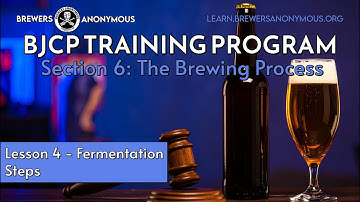 BJCP Training Section 6 The Brewing Process - Lesson 4 Fermentation Steps