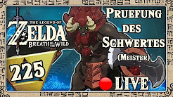 🔴 THE LEGEND OF ZELDA BREATH OF THE WILD Part 225: Prüfung des Schwertes (Meister) - Live