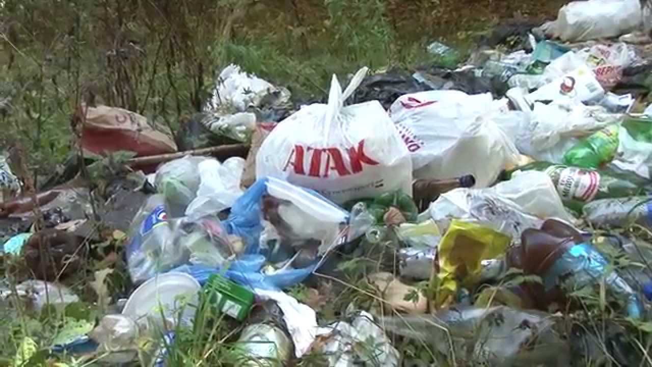 2014 09 24 - \"Чистый город\", школа №2 (Лобня) - YouTube