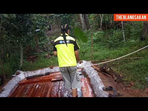 Video: Seberapa keras kayu renda itu?