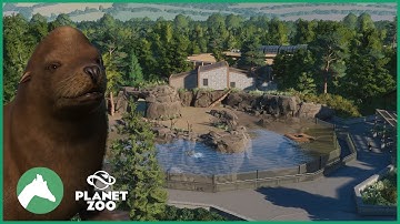 California Sea Lion Habitat | Elm Hill City Zoo | Planet Zoo