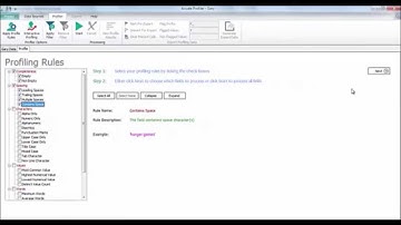 Acuate Data Profiling Tool: How to apply profiling rules