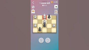 Pocket chess turtle challenge level 10
