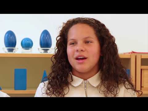 Chesterfield Montessori School -  Learning, Exploration, and Discovery