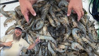 2 Hours of Shrimping and Recipes!  Catch, Clean, & Cook | Shrimp Compilation Video |