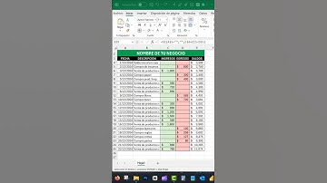 COMO LLEVAR LA CONTABILIDAD DE UN NEGOCIO PEQUEÑO EN EXCEL, PLANTILLA DE EXCEL PARA CONTABILIDAD