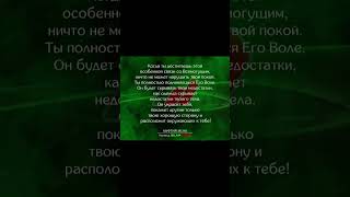 Муфтий Менк- Особенная связь.💖