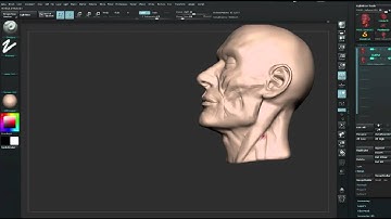ZBrush tutorial: Sculpt a face using anatomical principles, Part 8