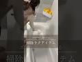 お風呂掃除って、めんどくさいし続かない…🫠でも今使ってるアイテムはズボラな私でも続いてる👏#shorts #お風呂掃除 #お風呂グッズ #掃除グッズ