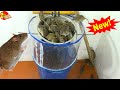 Perangkap tikus terbaik 🐀 Cara termudah dan efektif untuk menjebak tikus dengan pot lama🐀Mouse Trap