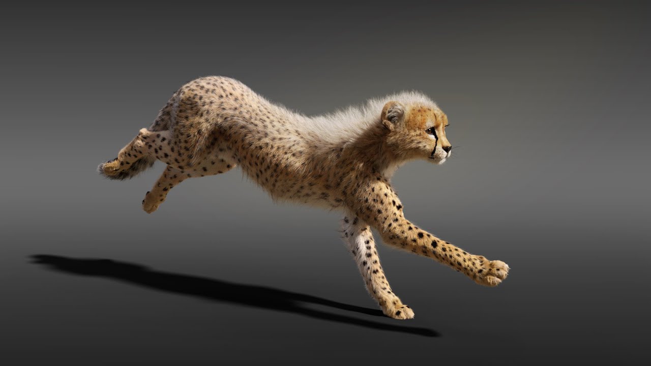 CGI 3D Animated Animal Showreel in Blender | Running Cheetah - YouTube