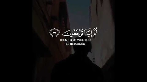 كل نفس ذاقت الموت /حالات واتس اب تلاوة خاشعة عبد الرحمن مسعد