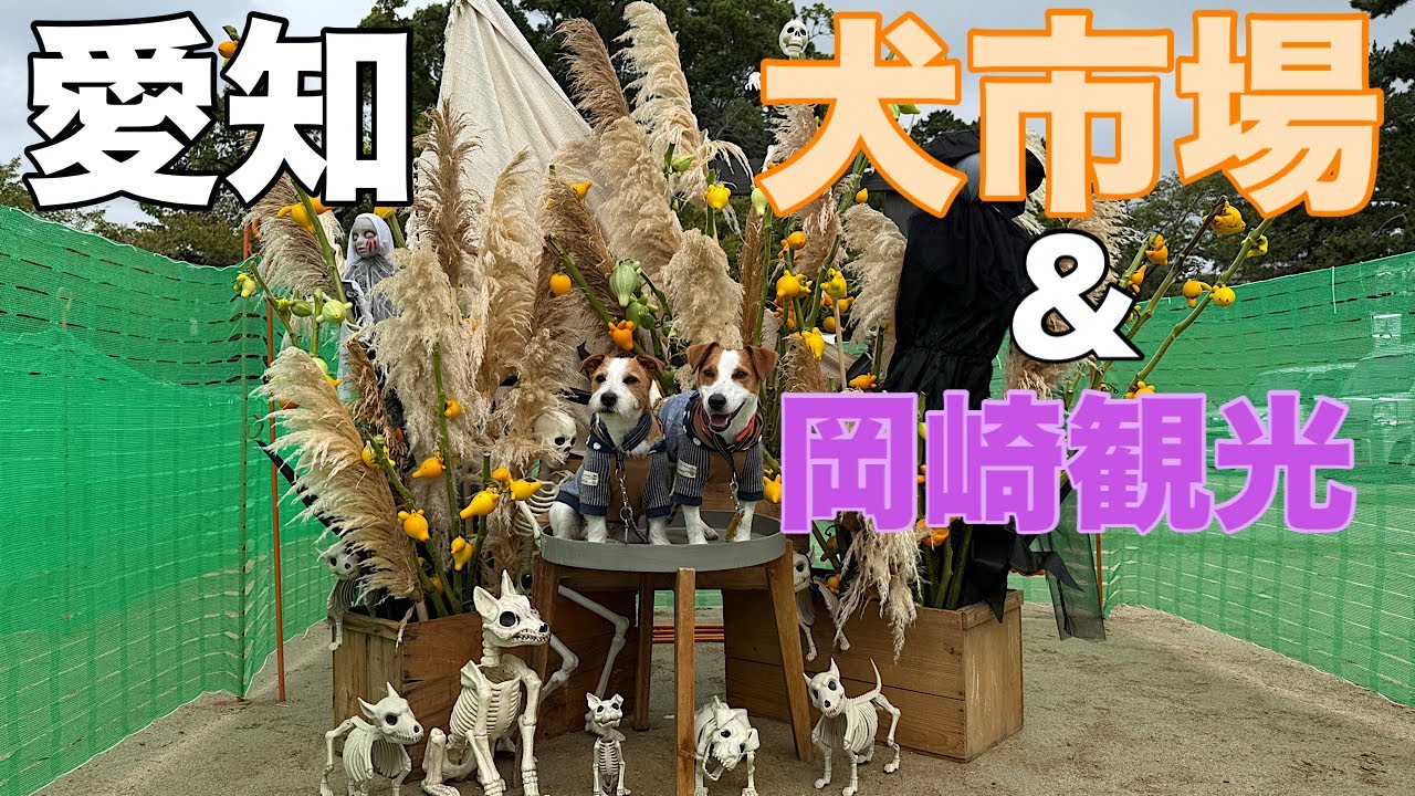 愛知で話題のわんこイベント、犬市場へ初参戦!
