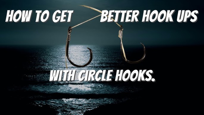 Fishing With Circle Hooks & Prawn - Improve Your Catch Rate, SURF FISHING  BASICS