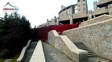 Newsoft Institute of Information