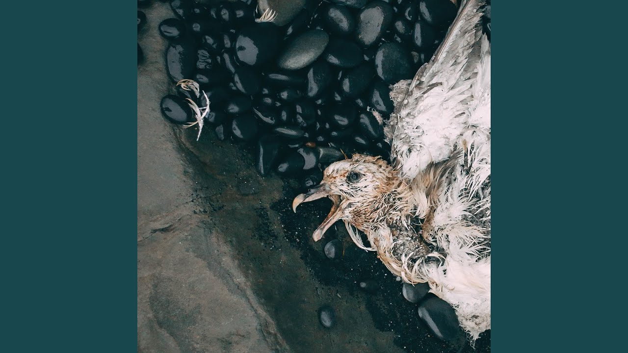 Watch Firmament on YouTube Watch Firmament on YouTube