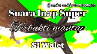 SUARA INAP SUPER TERBUKTI MANTAP