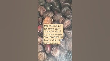 Mắc Khén rừng 3 cánh thơm cay tê và Hạt Dổi nếp cổ thụ thơm cay ngậy. Shop: 0868 887 193 Long.