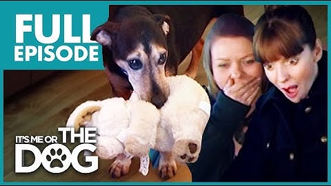 The Four-Legged Baby: Buster | Season 3 Episode 6 | Full Episode | It