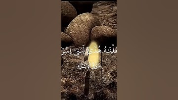 تلاوه جميله للشيخ ياسر دوسري #اكسبلور #المصحف #راحة_نفسية