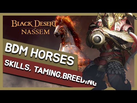 Horse Skills, Taming, Breeding Tier 8 Horses | Black Desert Mobile