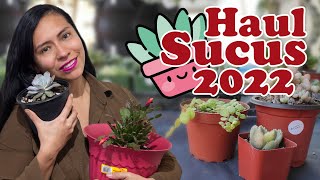 Primer HAUL SUCULENTAS 2022😍🌵🙈