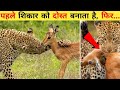 7 ऐसी विडियो जहापर जानवरों के अजीब बर्ताव को रिकॉर्ड किया गया | 7 Strange Behavior of Animals