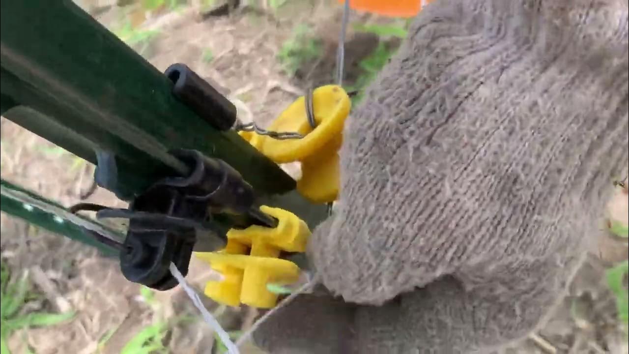 How to build Electric Fence for Deer Food Plots YouTube