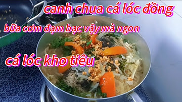 🌺 bất ngờ canh chua cá lóc đồng, cá lóc kho tiêu ,đơn giản vậy mà ngon bữa cơm ở quê 🌺