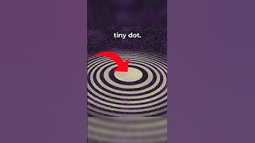 WHAT THE END LOOKS LIKE