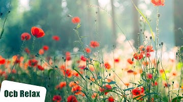 Morning Relaxing Music - Piano Music for Stress Relief and Studying (Riley)