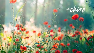 Morning Relaxing Music  Piano Music for Stress Relief and Studying (Riley)