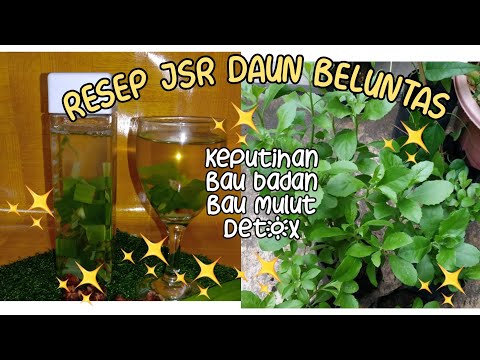 CARA CEPAT MENGOBATI BAU BADAN DAN DETOX DENGAN JSR BELUNTAS (jsr 21)