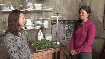Soil Blocks for Seed Starting - In the Alaska Garden with Heidi Rader
