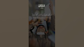 ان الله لا يخفى عليه شيئ في الأرض و لا في السماء#سورة_آل_عمران #عبدالرحمن_مسعد #قران_كريم #القرٱن