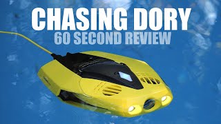 Chasing Dory Underwater Drone - 60 Second Review #Shorts