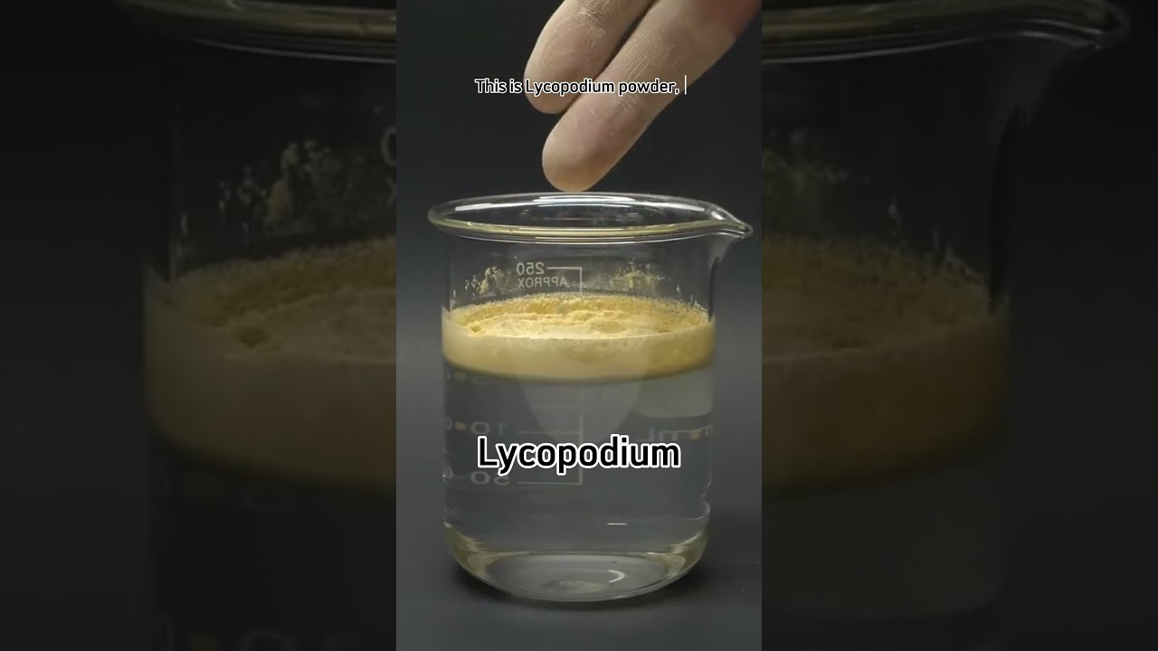 Defying Chemistry The Astonishing Properties Of Lycopodium Powder Shorts Nosdiscovery