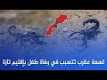 عاجل لسعة عقرب تباغث طفلا ضواحي اقليم تازة اخبار المغرب اليوم الجمعة 18 يوليوز 2025 عاجل لسعة عقرب تباغث طفلا ضواحي اقليم تازة اخبار المغرب اليوم الجمعة 18 يوليوز 2025