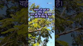 #upsc #viral #viralshorts #viralvideo #motivation #mppsc #mppscpre #aspirant #subscribe #follow #yt