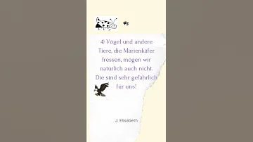 Was mögen Insekten gar nicht?