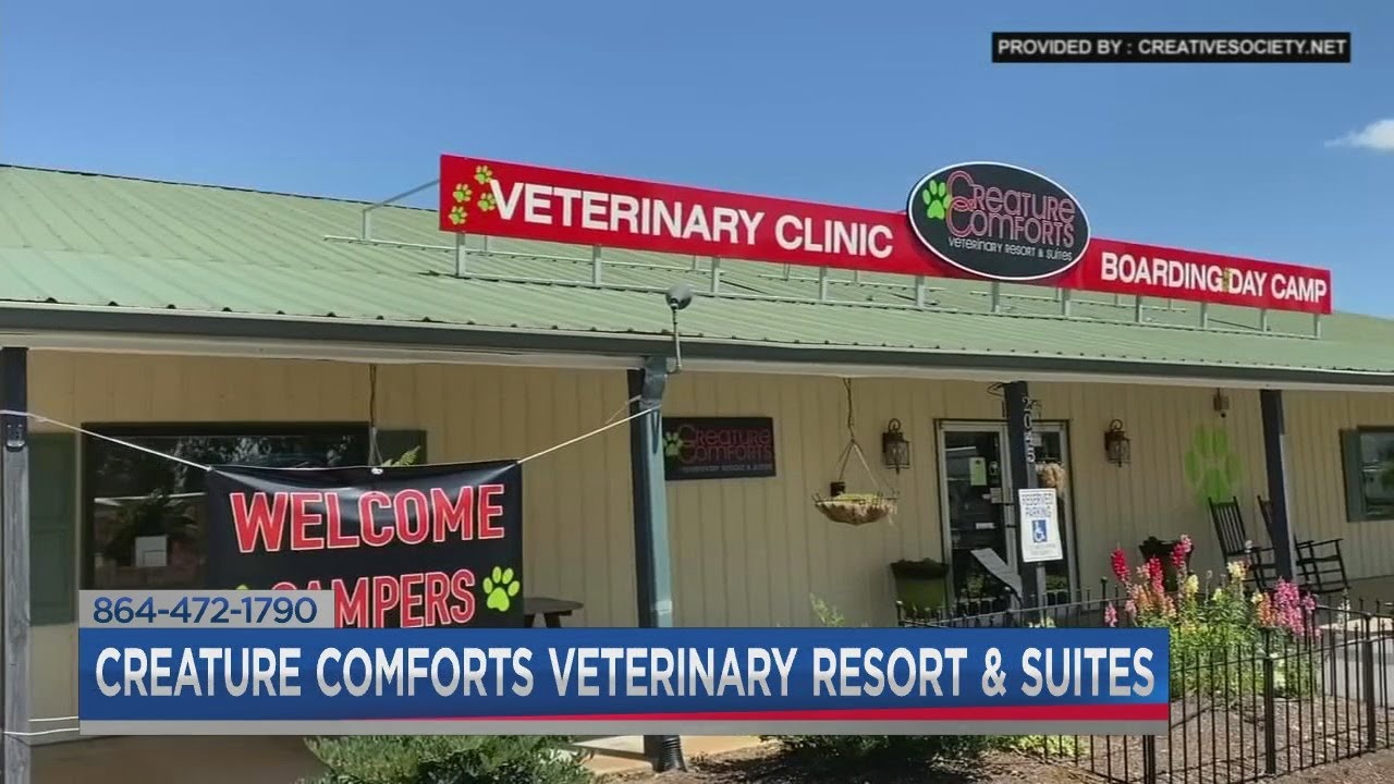Creature Comforts Veterinary Resort and Suites YouTube