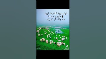 سورة القارعة. القرآن الكريم