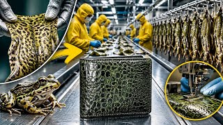 Inside the Frog Skin Factory – (Full Process) How Tiny Exotic Wallets Are Made#HowItsMade #Factory