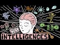 The “9 Intelligences” and Fluid vs Crystallized - Can you Improve Intelligence?