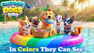 12 Hours of Dog Cartoon 🐶 Calming TV for Dogs Home Alone－All-Day Anti-Boredom Videos with Dog Music