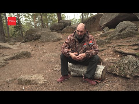 Video: Tarkovskij Michail Alexandrovič: životopis, Kariéra, Osobný život
