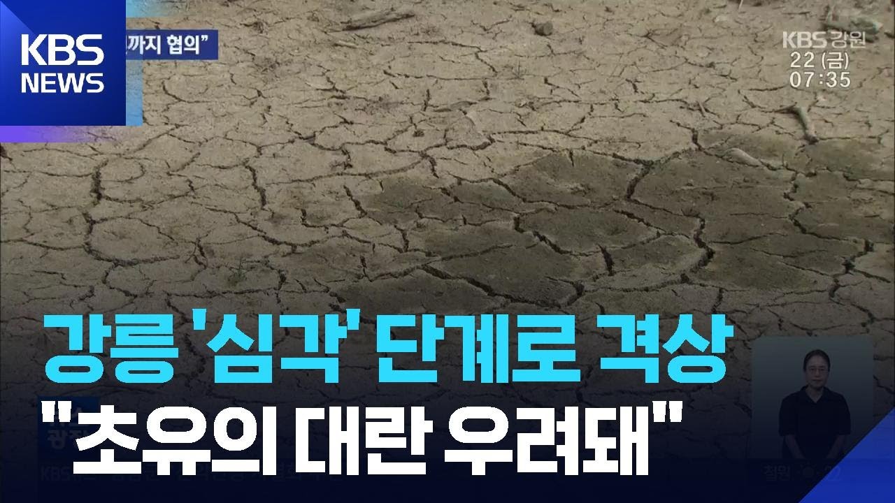 강릉 '심각' 단계로 격상...